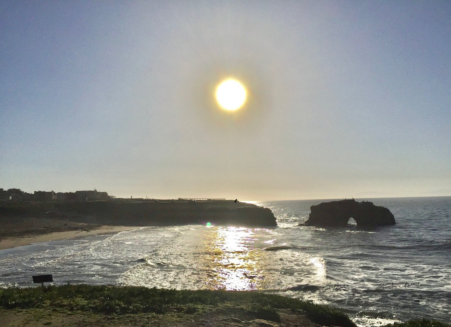 Photographer ©️zasaswanson "Moore Creek Wetland Natural Preserve" Santa Cruz, CA